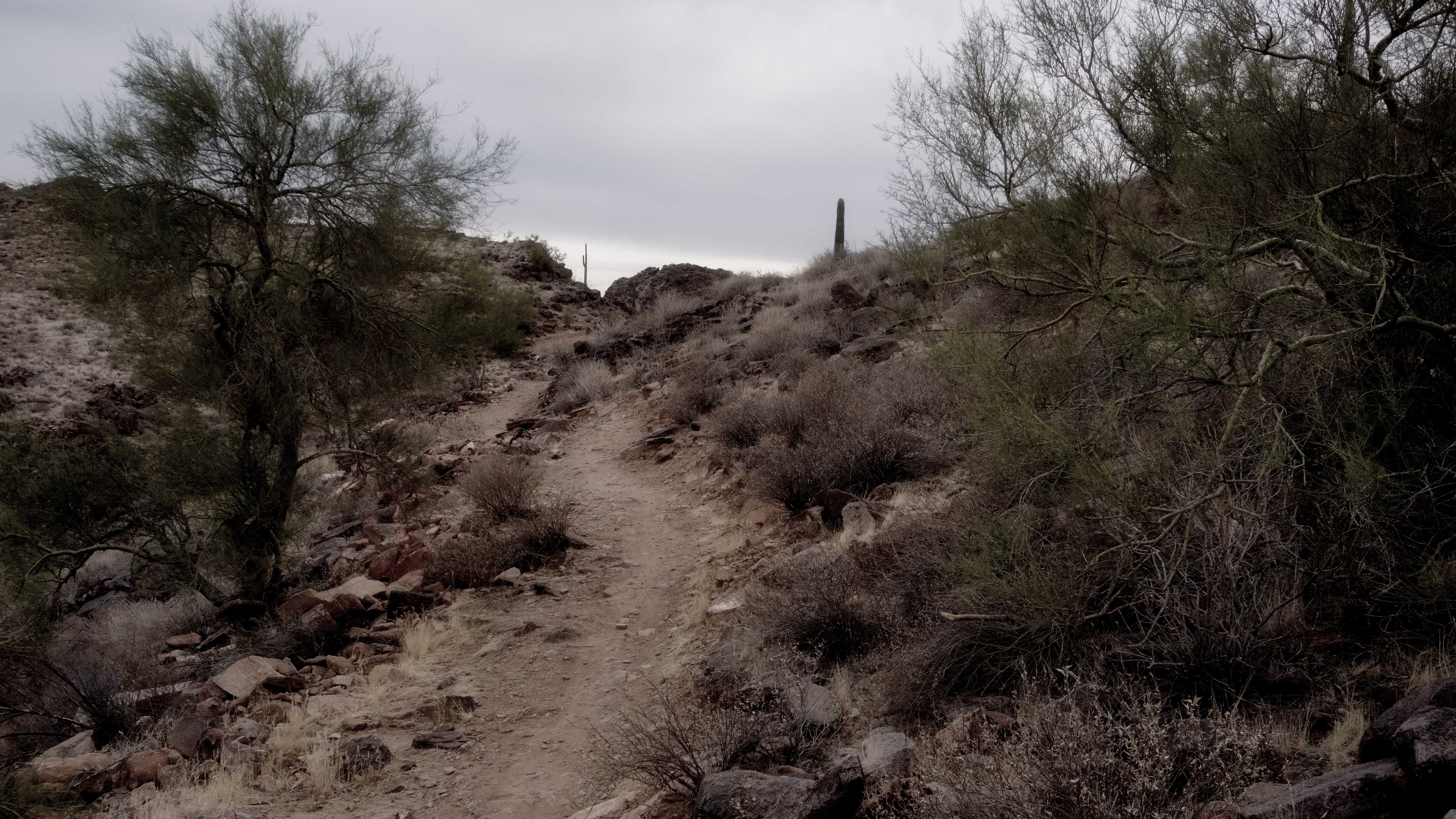 December Hike