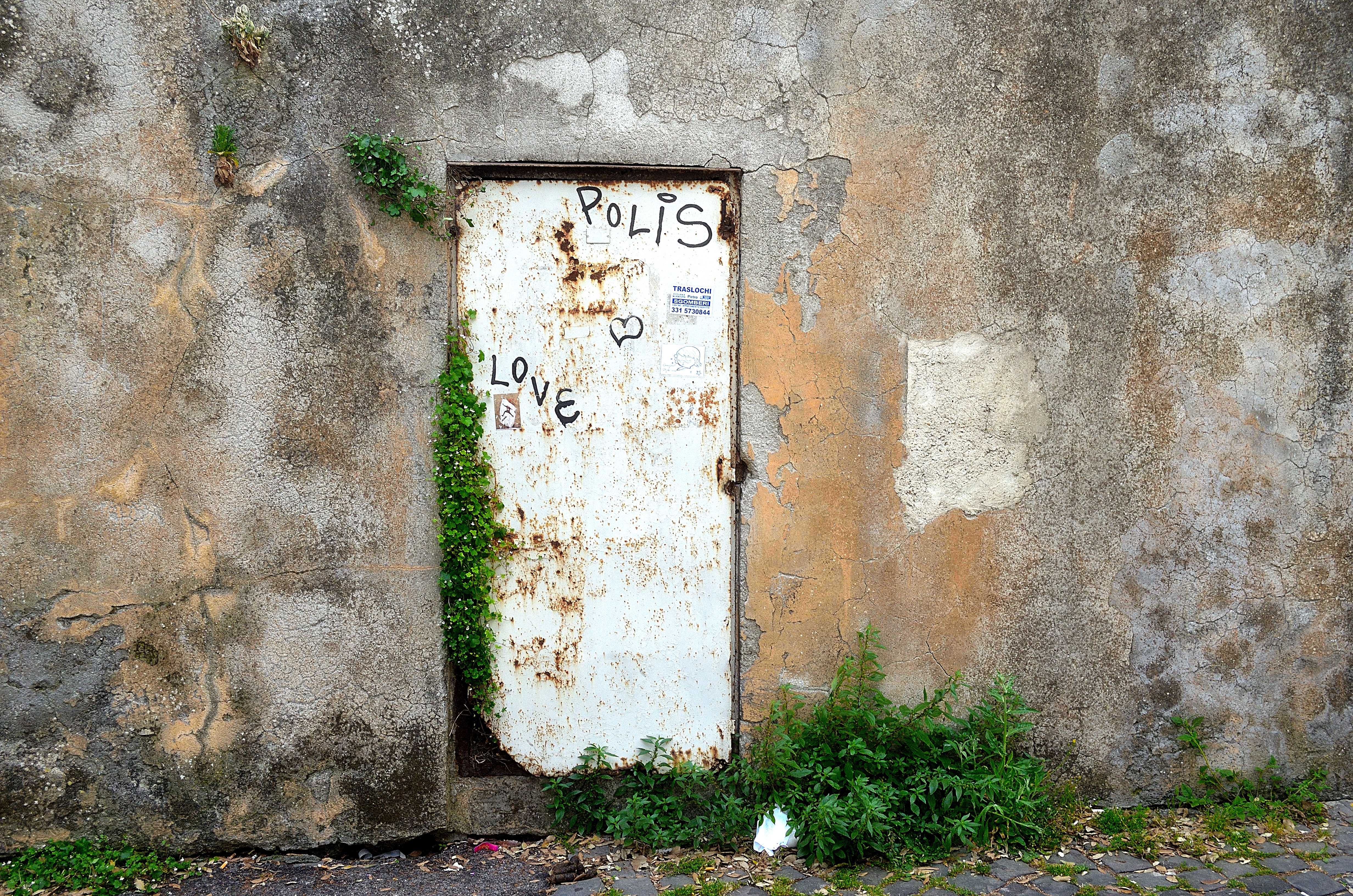 Forgotten Door